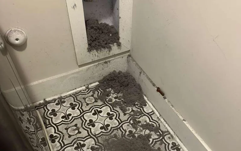 Lint pulled out of a laundry-room dryer vent, spilled across the floor during cleaning
